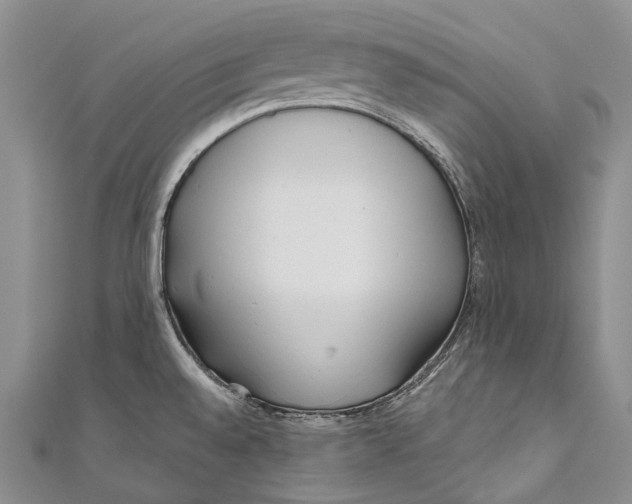 X0000110981528200907101359