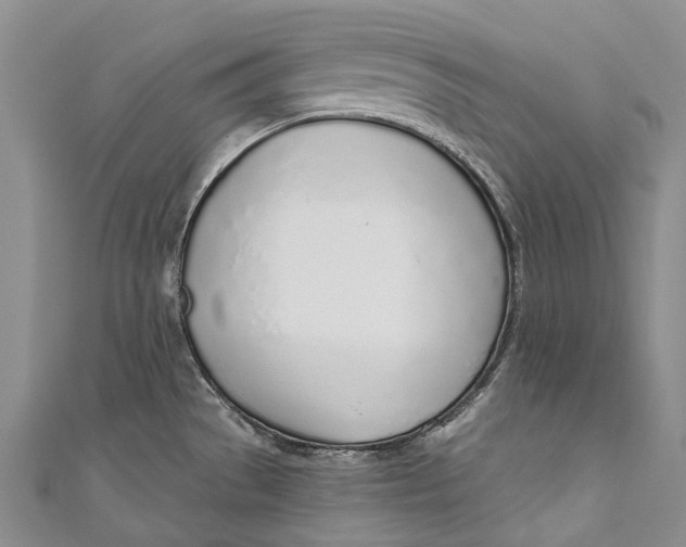 X0000110981529200907101359