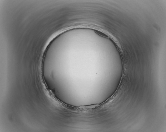 X0000110981530200907101359