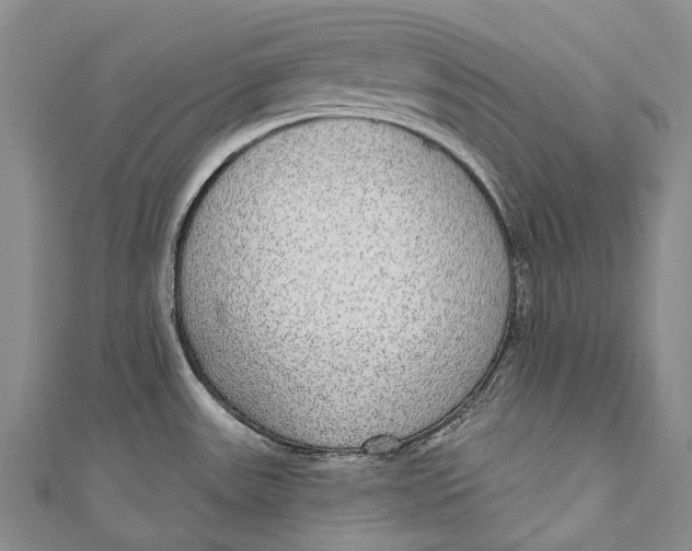 X0000110981531200907101359