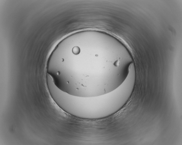 X0000110981532200907101359