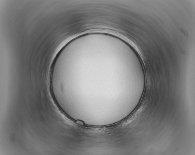 X0000110981533200907101359