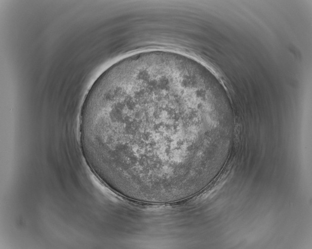 X0000110981535200907101359