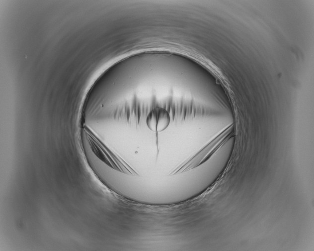 X0000110981536200907101359