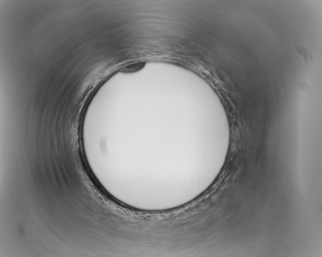 X0000110980002200907171741