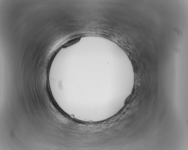 X0000110980005200907171741