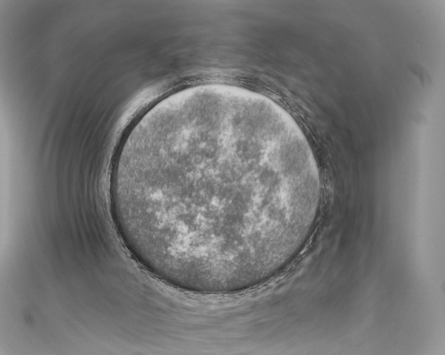 X0000110980006200907171741