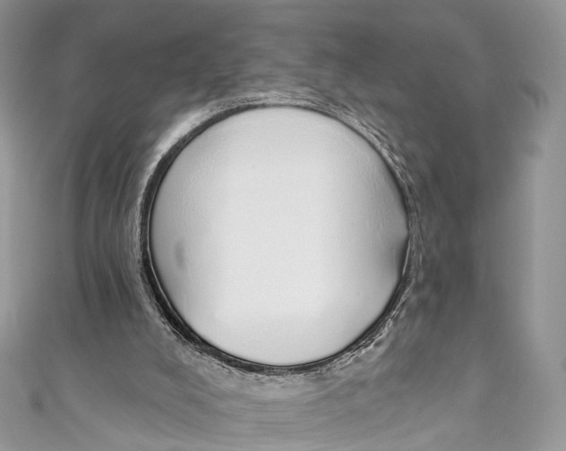 X0000110980008200907171741
