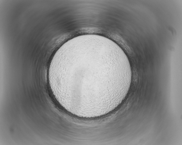 X0000110980014200907171741