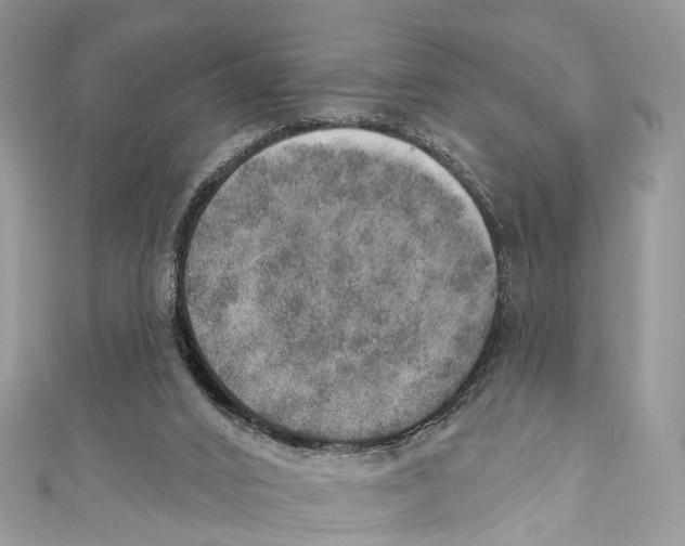 X0000110980016200907171740