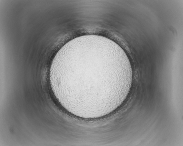 X0000110980018200907171740