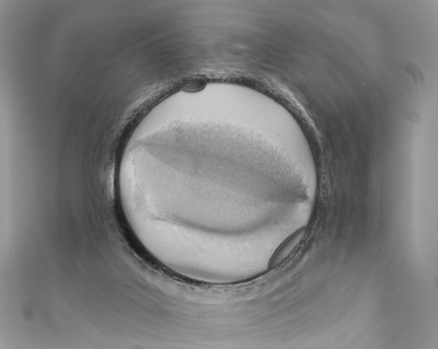 X0000110980019200907171740