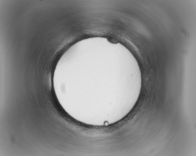 X0000110980020200907171740
