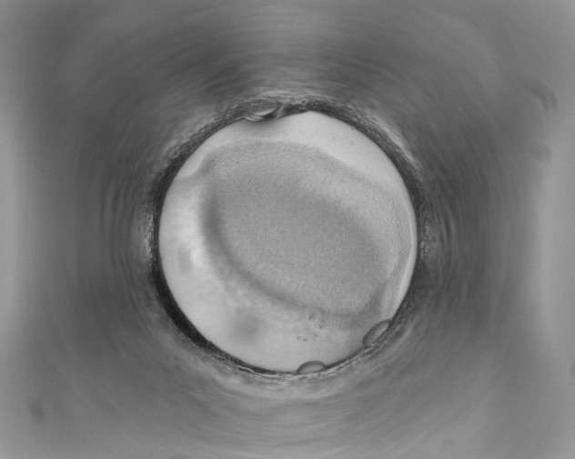 X0000110980023200907171740