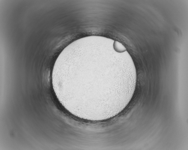 X0000110980024200907171740