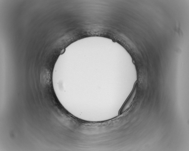 X0000110980025200907171740