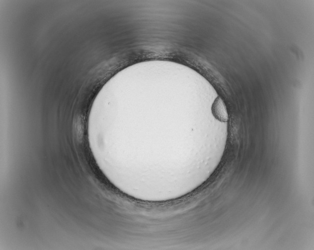 X0000110980026200907171740