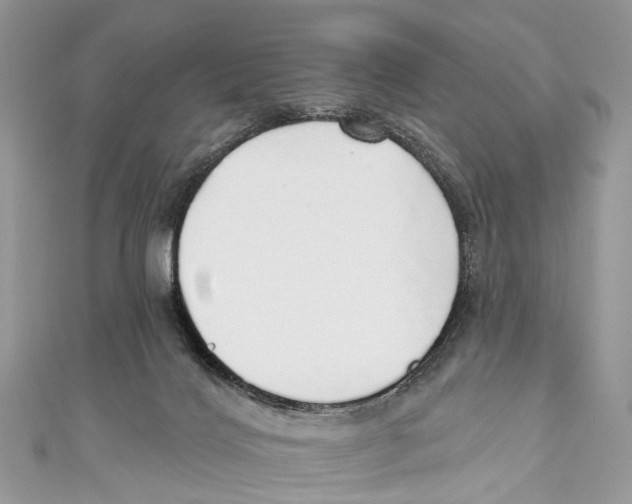 X0000110980028200907171740