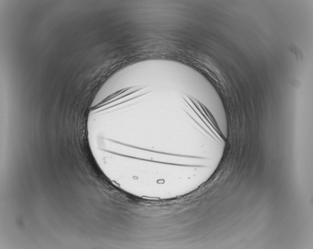 X0000110980029200907171740