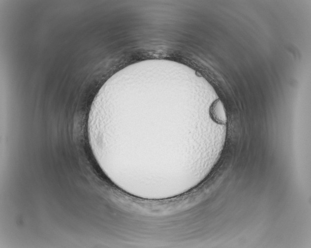 X0000110980030200907171740