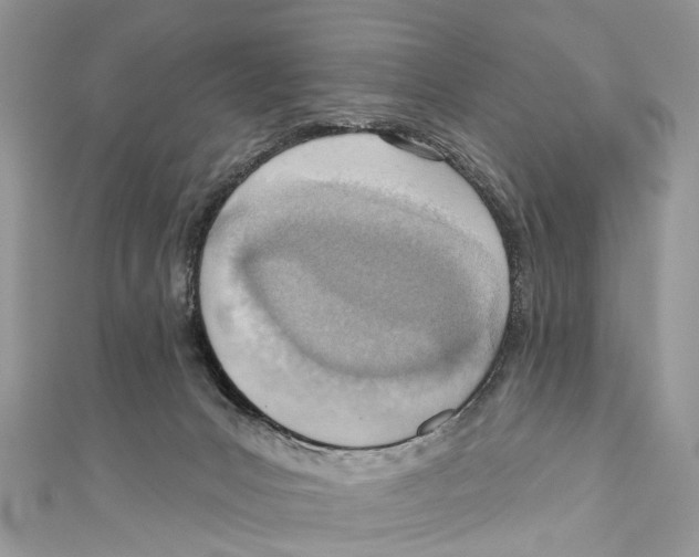 X0000110980031200907171740