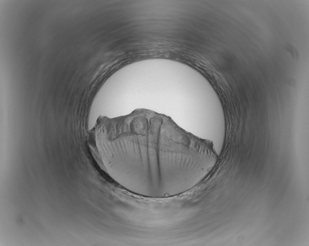 X0000110980035200907171740
