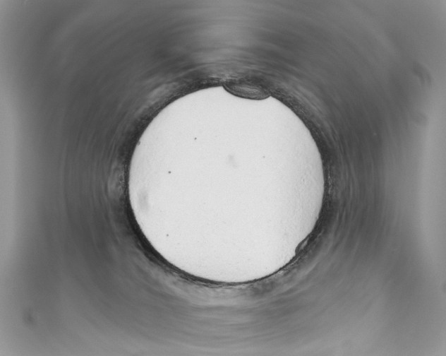 X0000110980036200907171740