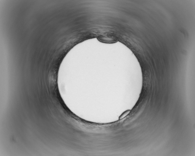 X0000110980040200907171740