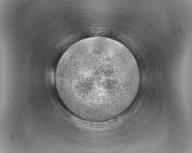 X0000110980042200907171740