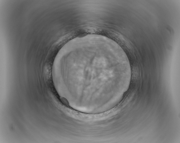 X0000110980043200907171740