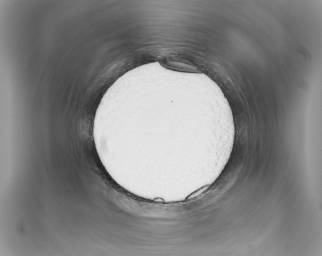 X0000110980044200907171740
