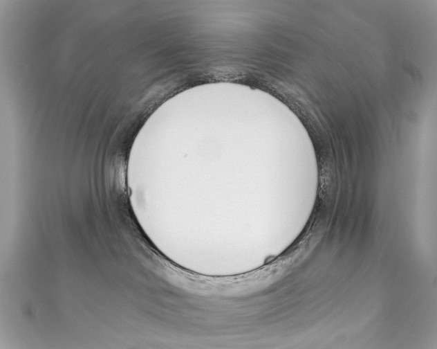 X0000110980046200907171740