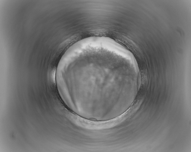 X0000110980047200907171740