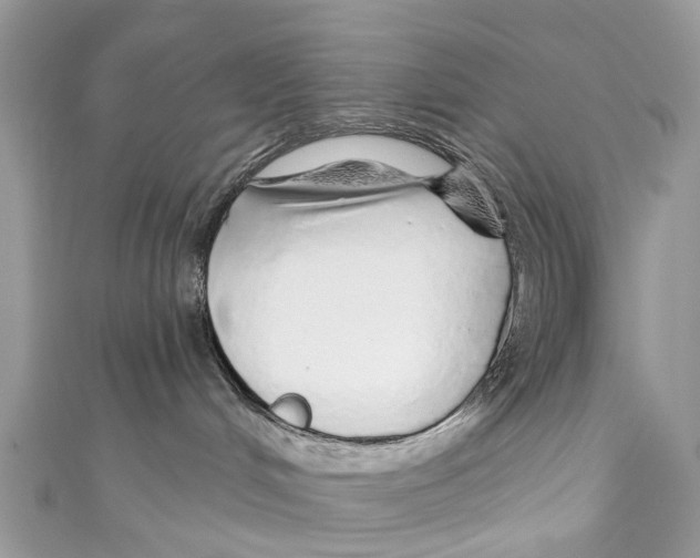 X0000110980048200907171740