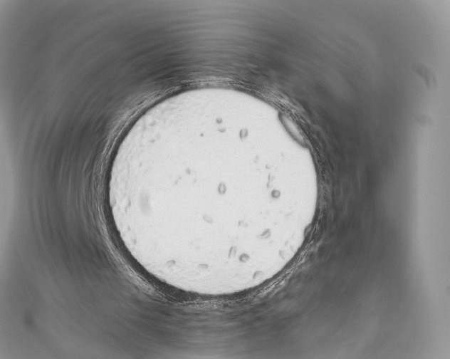 X0000110980049200907171739