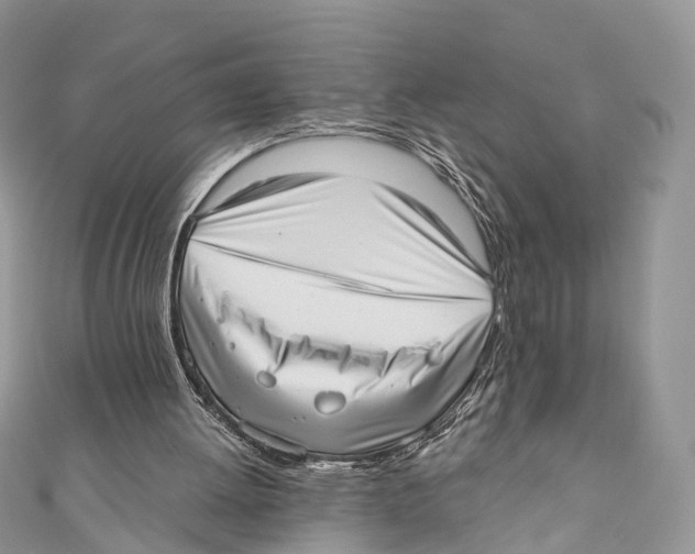 X0000110980052200907171739