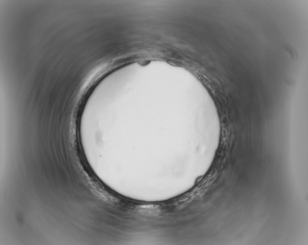 X0000110980053200907171740