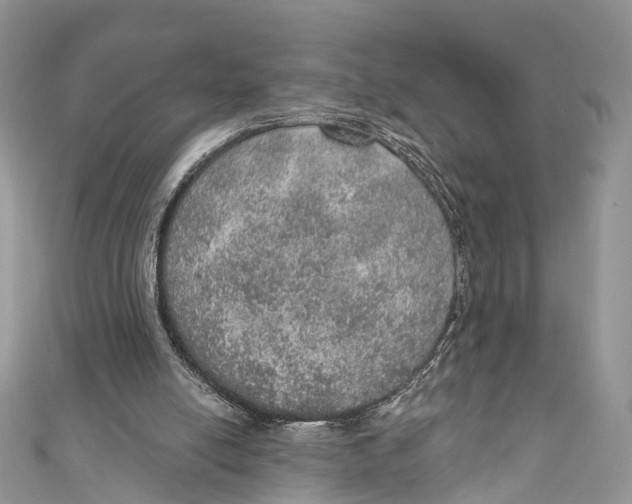 X0000110980054200907171740