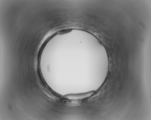 X0000110980056200907171740