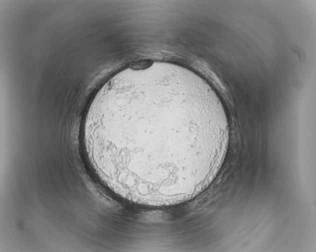X0000110980058200907171740