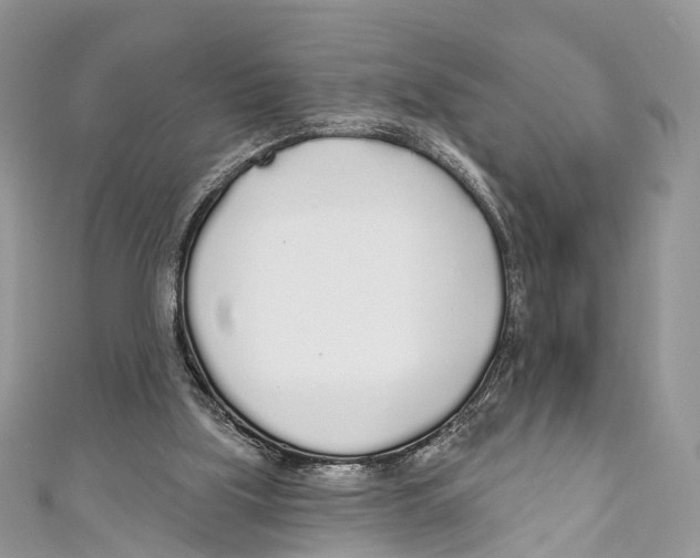 X0000110980059200907171740