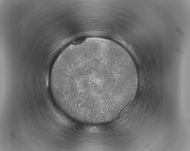 X0000110980062200907171740