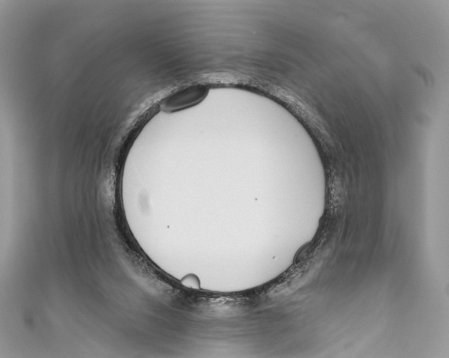 X0000110980064200907171740