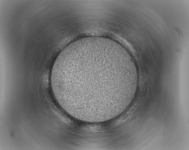 X0000110980065200907171740
