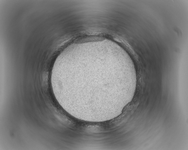 X0000110980066200907171740