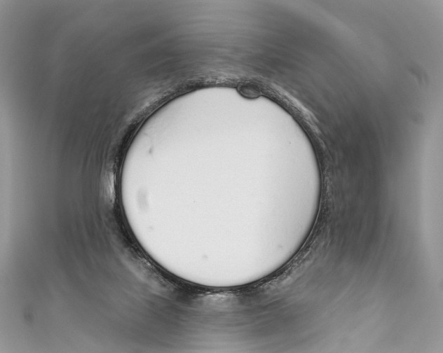 X0000110980067200907171740