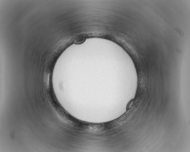 X0000110980070200907171740