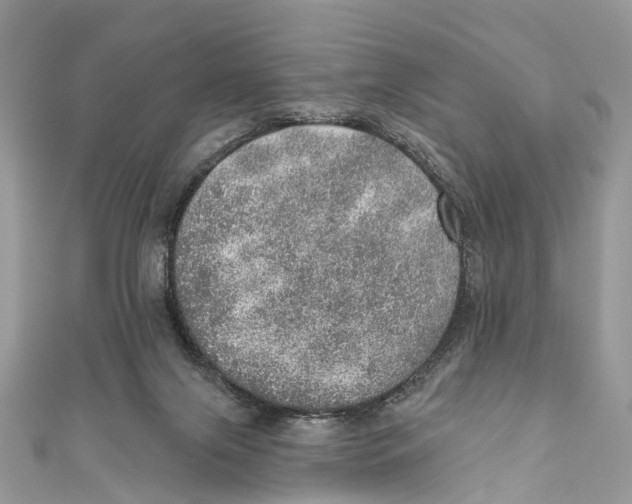 X0000110980071200907171740