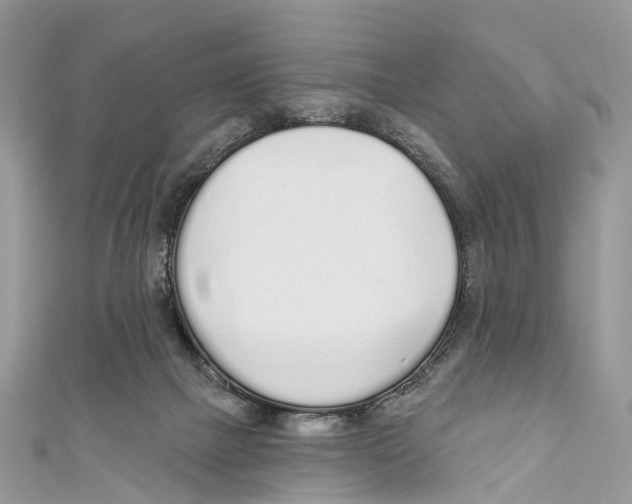 X0000110980073200907171740