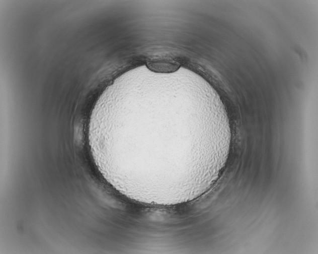 X0000110980074200907171740